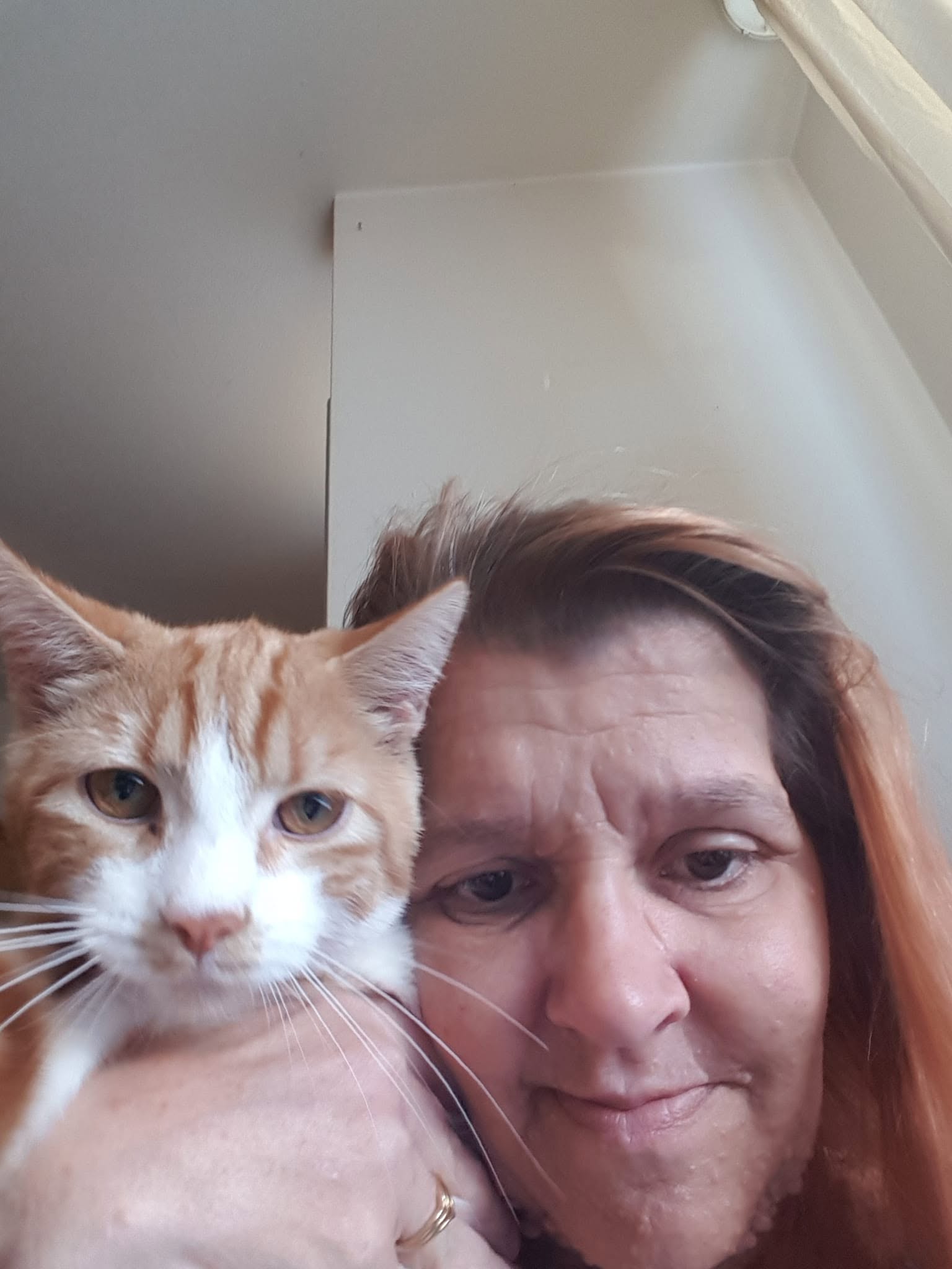 BuddySocial foto
